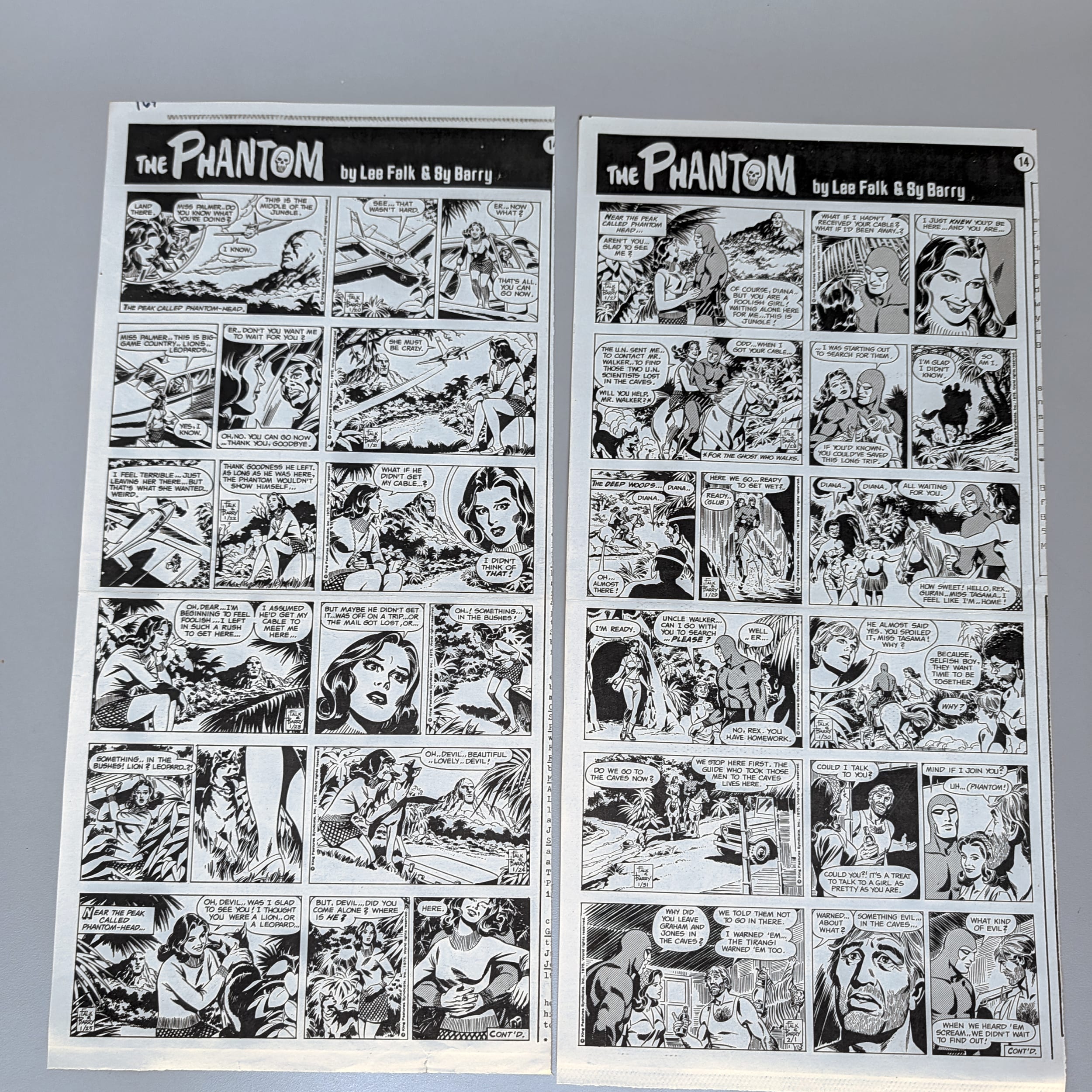 The Phantom Sunday Comic Strips 1974 Black & White Lot by Lee Falk & Sy Barry