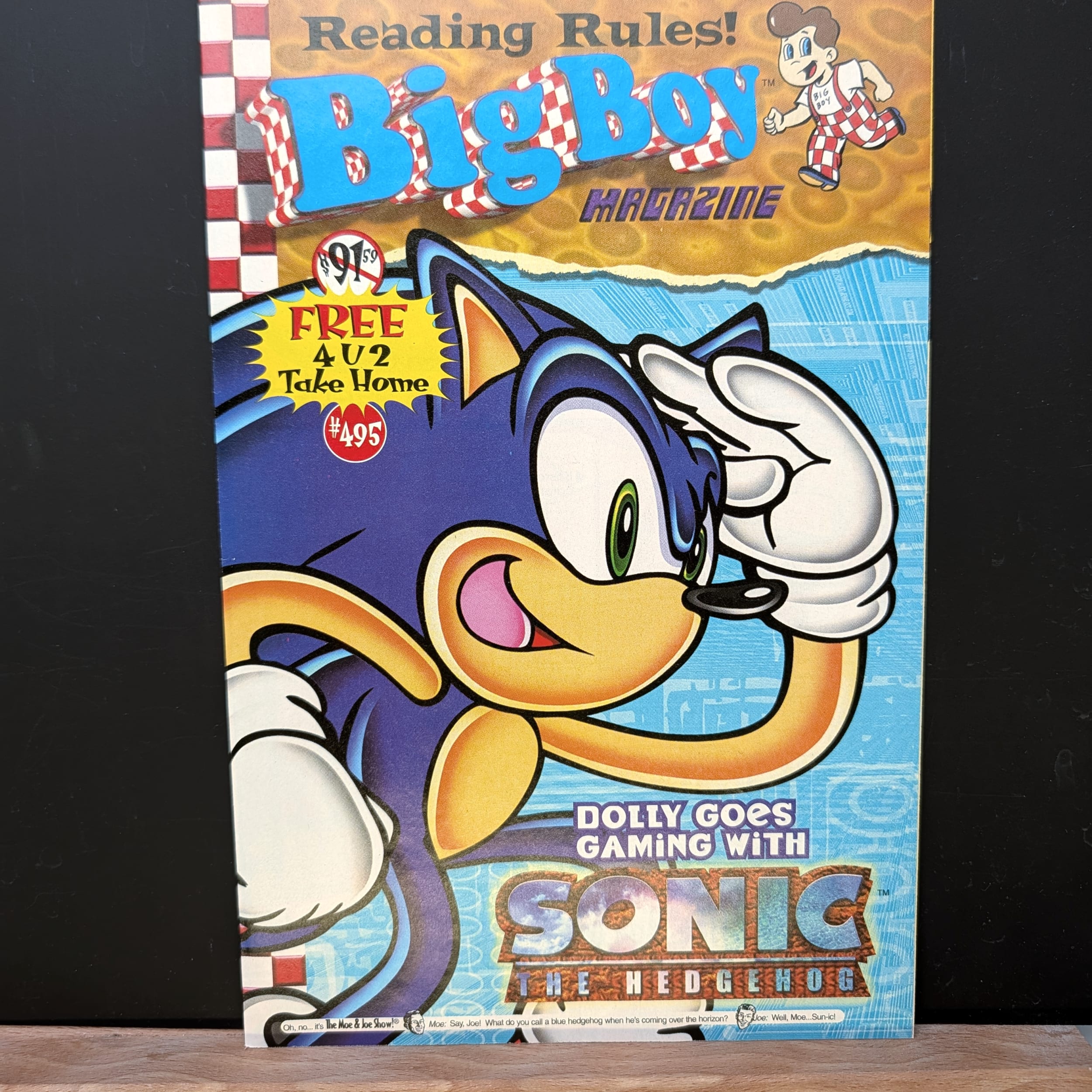 Adventures of the Big Boy Comic Lot+Sonic+Ren Stimpy+Tiny Toons+Looney Tunes