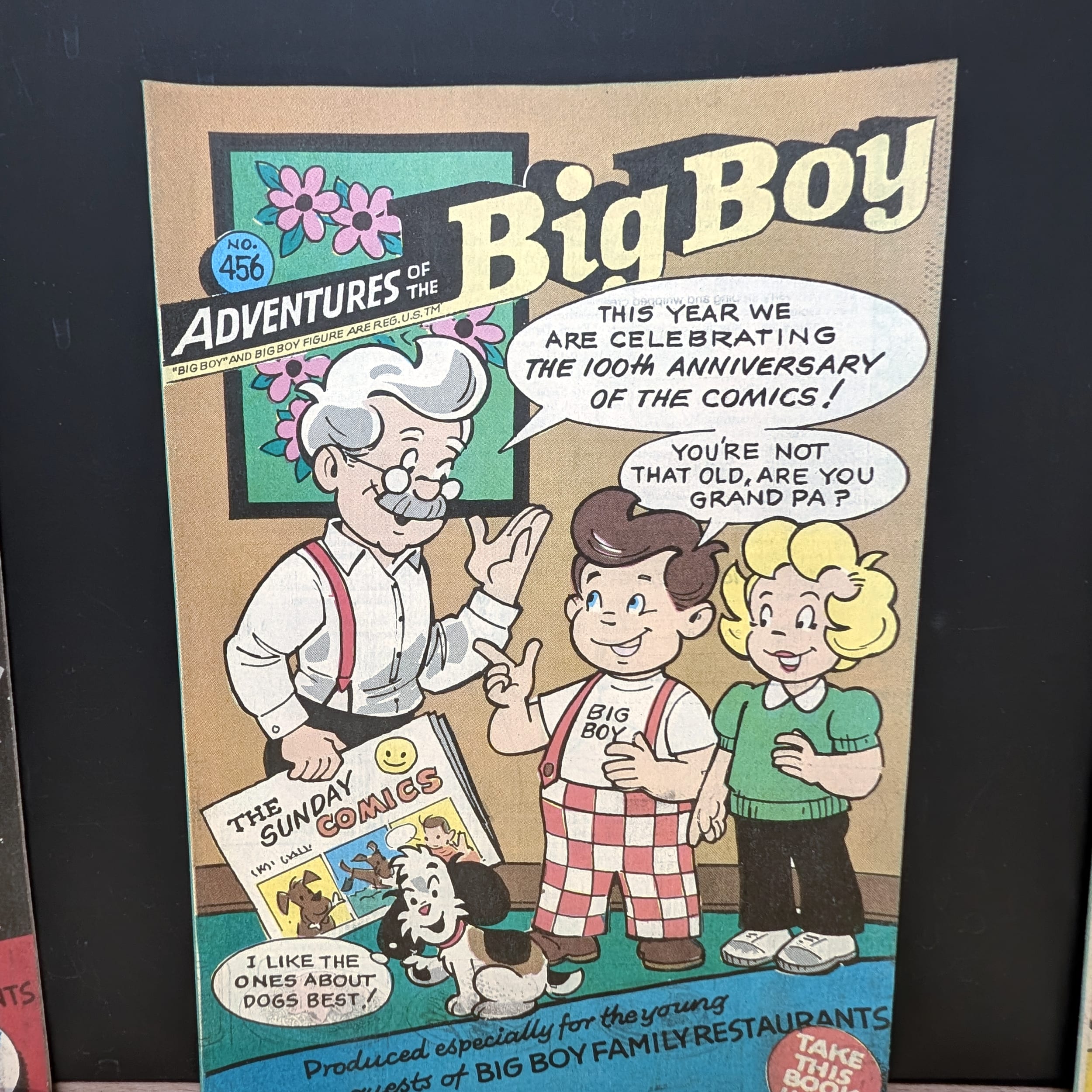 Adventures of the Big Boy Comic Lot+Sonic+Ren Stimpy+Tiny Toons+Looney Tunes