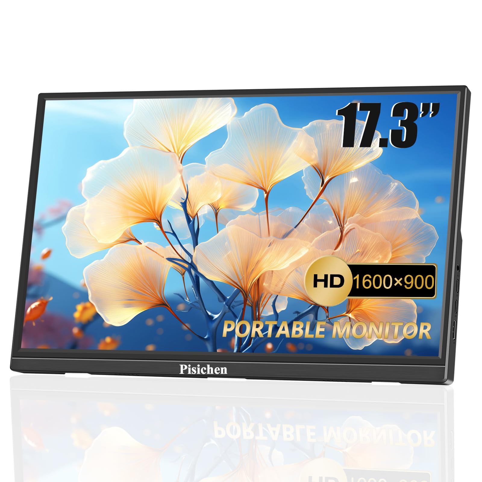 Pisichen 17.3" Portable Monitor, HD 1600x900, USB-C HDMI, Built-in Speakers