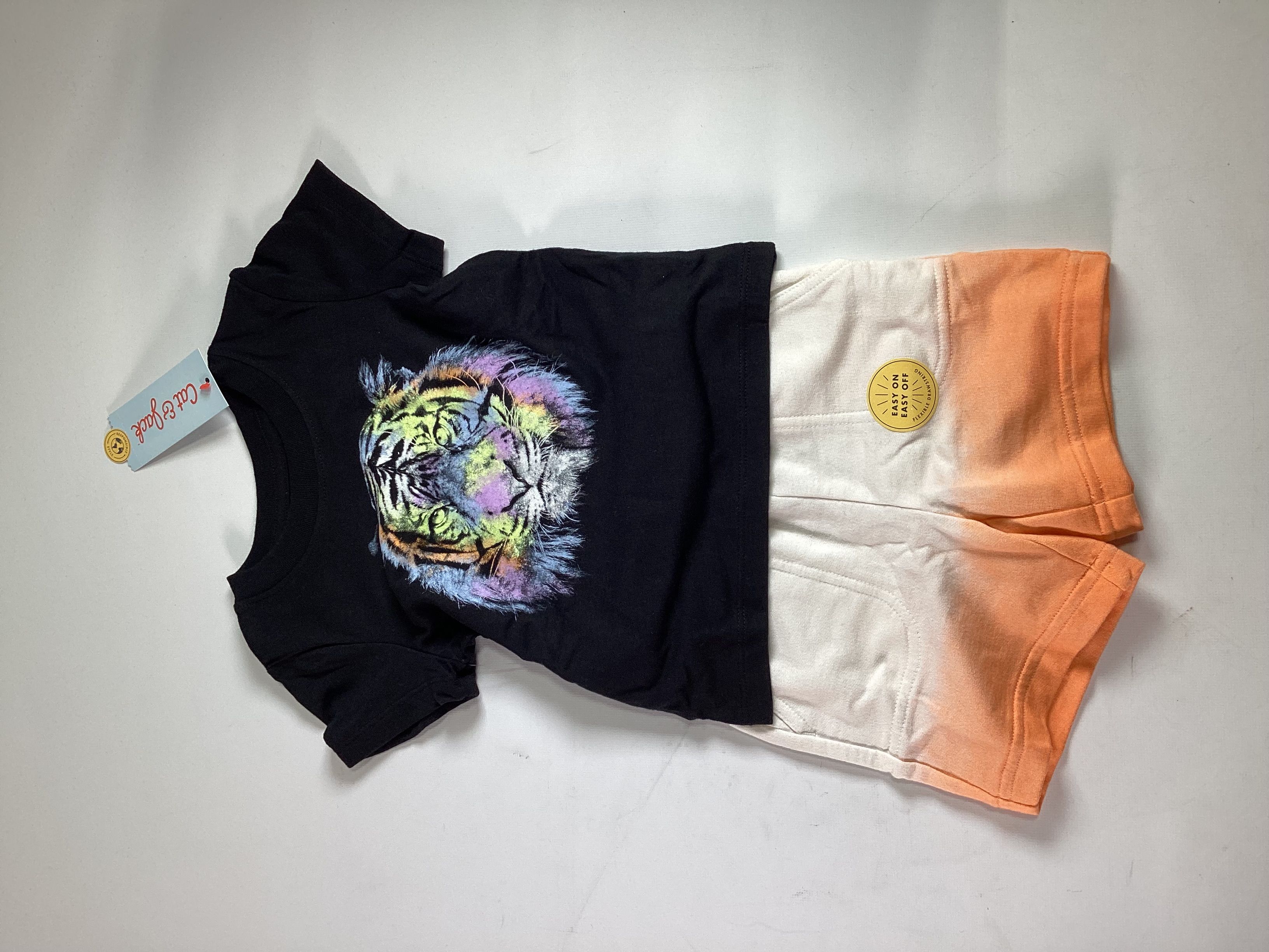Infant Cat And Jack Multicolor Tiger Graphic Outfit Set 2pc 12M NEW