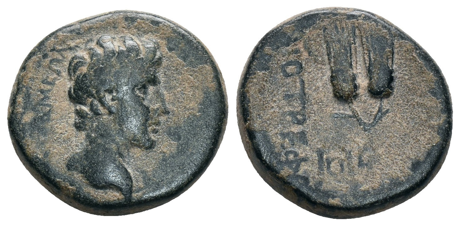 Roman Provincial Bronze Coin - Apameia PHRYGIA 27 BC-14 AD - Augustus - Picture 1 of 4