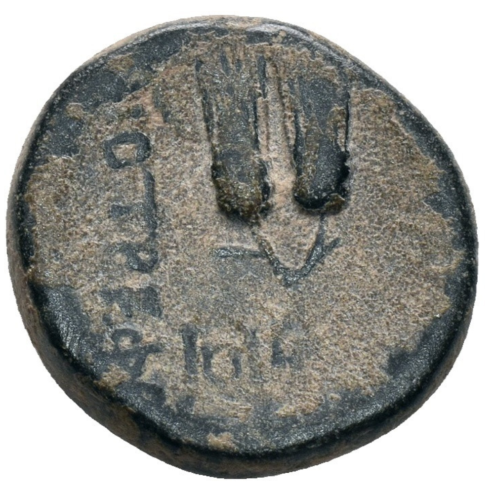 Roman Provincial Bronze Coin - Apameia PHRYGIA 27 BC-14 AD - Augustus - Picture 3 of 4
