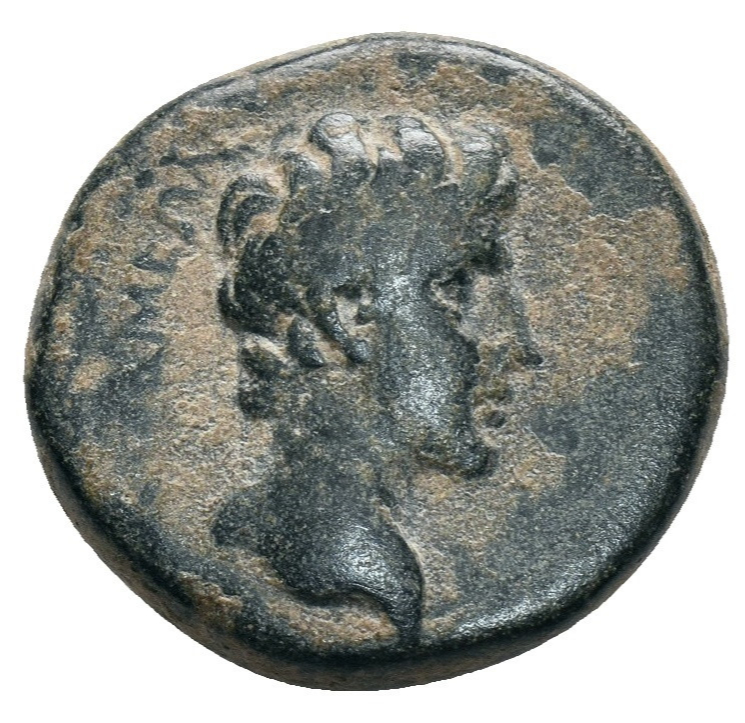 Roman Provincial Bronze Coin - Apameia PHRYGIA 27 BC-14 AD - Augustus - Picture 2 of 4