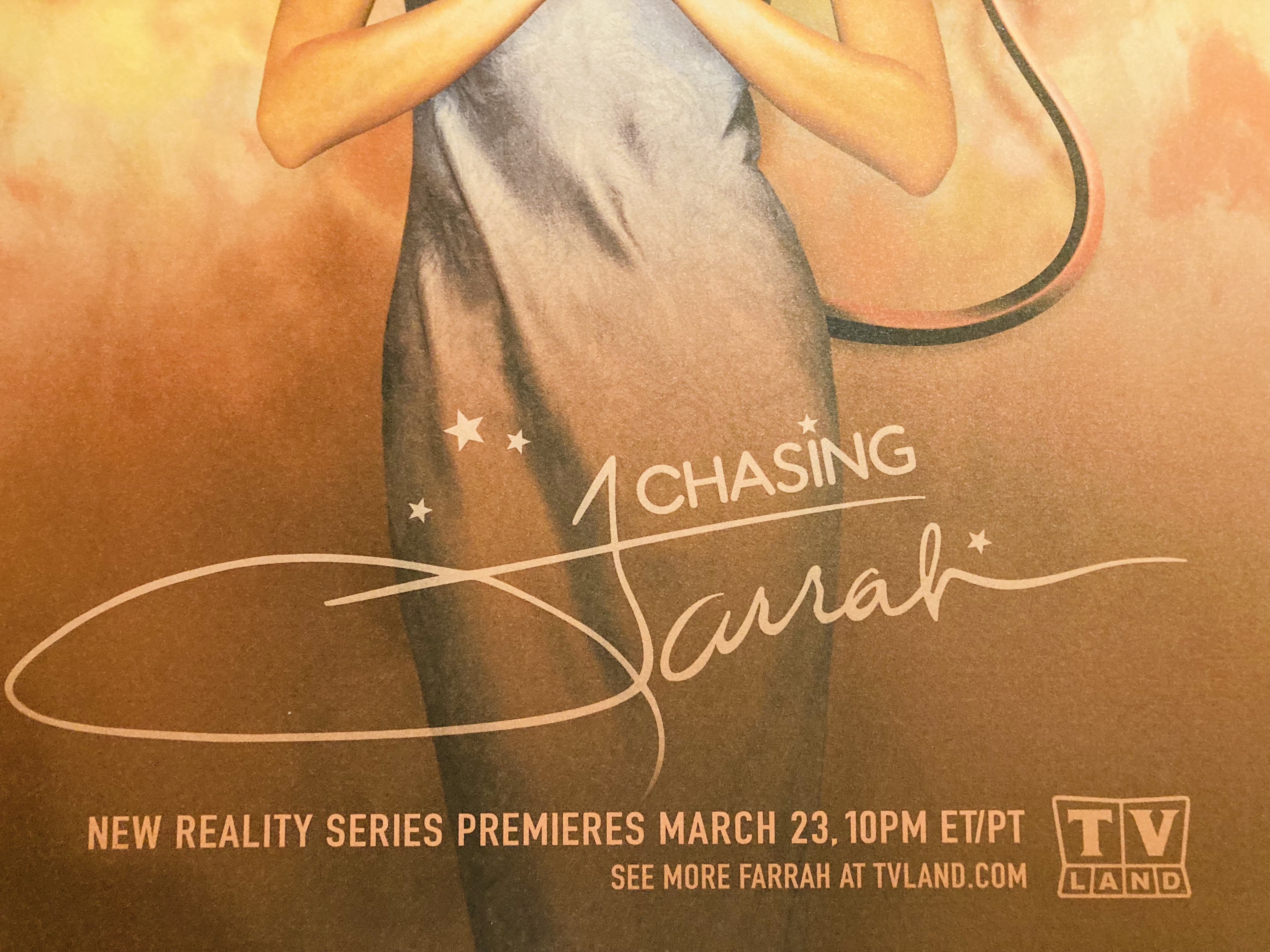 Chasing Farrah Fawcett Poster TV Land Rare Contest Promo 2005 Ltd Litho 50 Made - Picture 3 of 4
