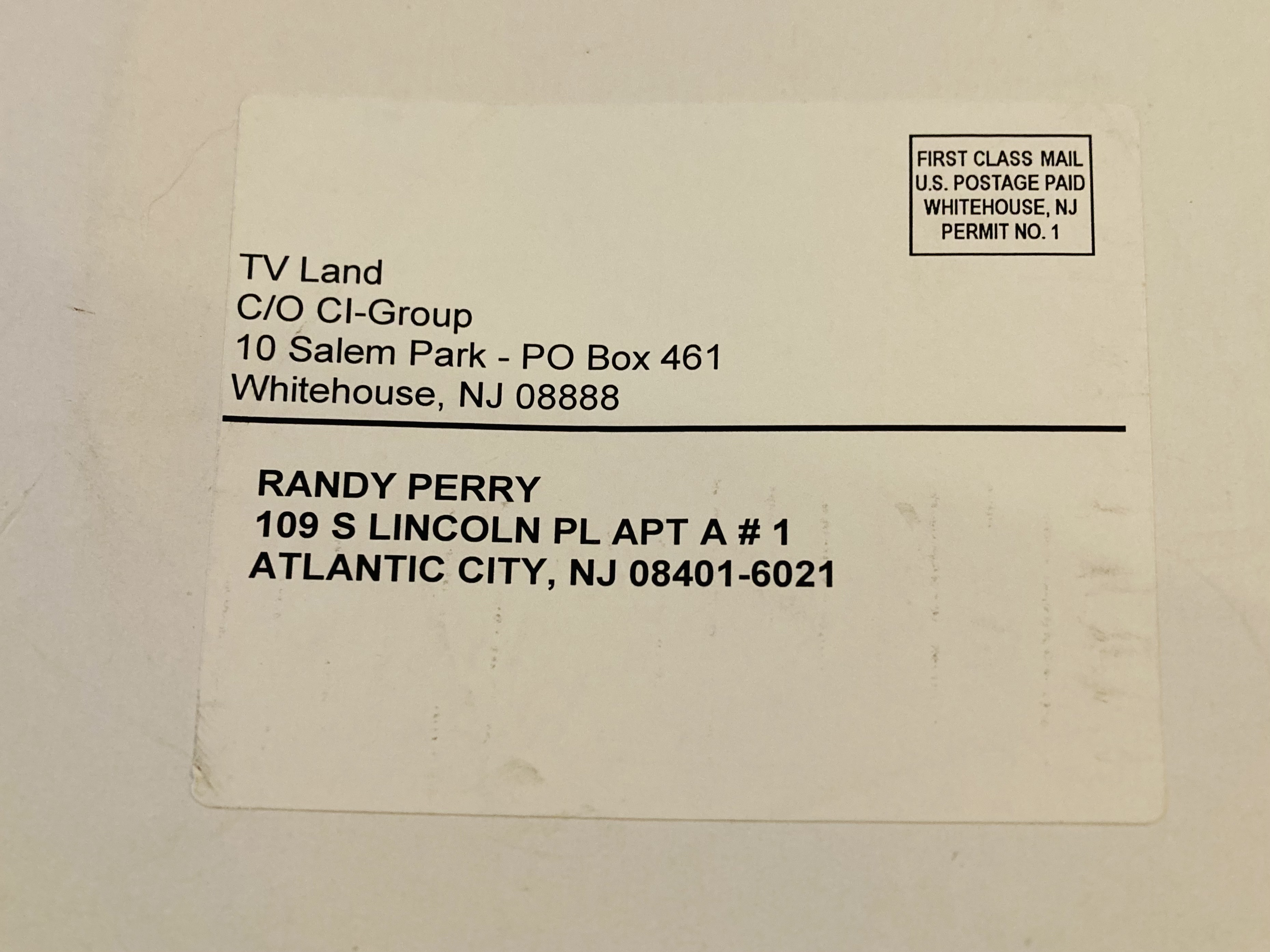 Chasing Farrah Fawcett Poster TV Land Rare Contest Promo 2005 Ltd Litho 50 Made - Picture 4 of 4